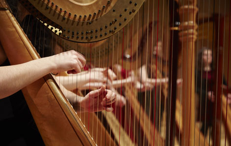 The College’s harp students perform together in the Dora Stoutzker Hall 